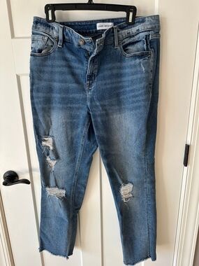 Lane Bryant Distressed Blue Straight-Leg Jeans